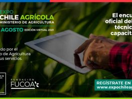 Más de 150 actividades de capacitación e información tendrá Expo Chile Agrícola 2021 