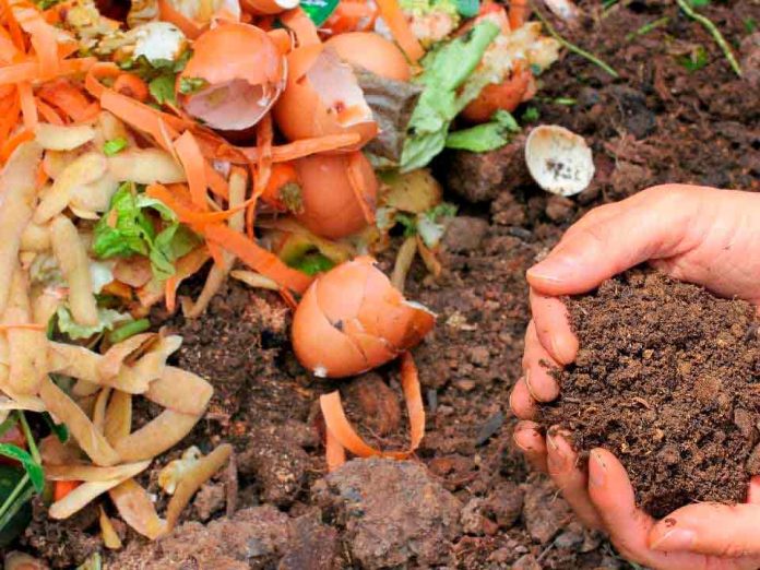 Organizado por Odepa, se realizó seminario: “Compartiendo experiencias para la reducción de pérdidas y desperdicios de alimentos en Chile” 