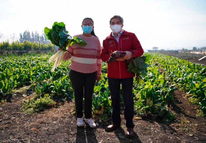 DÍA DE LAS COOPERATIVAS DESTACA LOGROS DE MÁS DE 2000 PEQUEÑOS AGRICULTORES ASOCIADOS