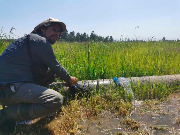 FIA fortalece la innovación agraria impulsando nueva convocatoria de estudios