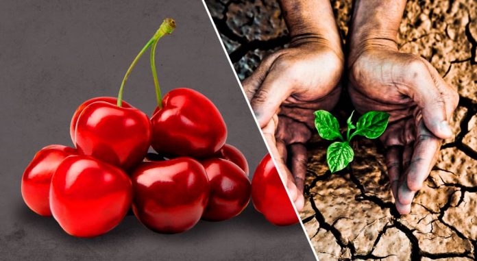 Global Cherry Summit y Agricultural Water Summit se postergan hasta 2022 Ambos eventos se han pospuesto debido a la extensión de alerta sanitaria y las restricciones relacionadas con la pandemia de Covid-19. Las nuevas fechas se darán a conocer próximamente.