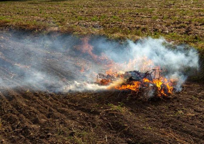 INIA La Platina presenta ciclo de charlas sobre prácticas sustentables para eliminar el uso del fuego en las tareas agrícolas