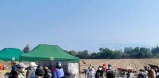 INIA La Platina realiza Día de Campo en Melipilla para transferir prácticas sustentables que eviten el uso del fuego en tareas agrícolas