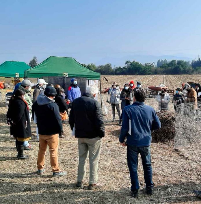 INIA La Platina realiza Día de Campo en Melipilla para transferir prácticas sustentables que eviten el uso del fuego en tareas agrícolas