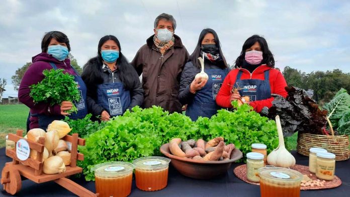 Pequeñas productoras indígenas de la Región de Los Lagos recibieron Sello Originario de INDAP En una ceremonia realizada en el sector Quihua de la comuna de Calbuco, INDAP entregó el Sello Originario a las primeras agricultoras indígenas de la Región de Los Lagos. Esta certificación está inserta en el Programa de Alimentos Ancestrales Saludables que impulsan el servicio del agro y Elige Vivir Sano y tiene el propósito de rescatar y promover el consumo de productos que han formado parte de la dieta de nuestros pueblos originarios.