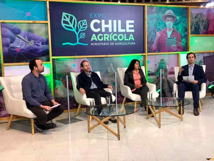 Conversatorio online analizó aporte de pequeños agricultores apoyados por INDAP durante la pandemia  