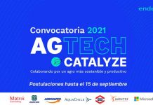 Convocatoria Agtech Catalyze: ENDEAVOR y las principales empresas de la agroindustria se unen para escalar soluciones innovadoras que fomenten la sostenibilidad y productividad en el rubro