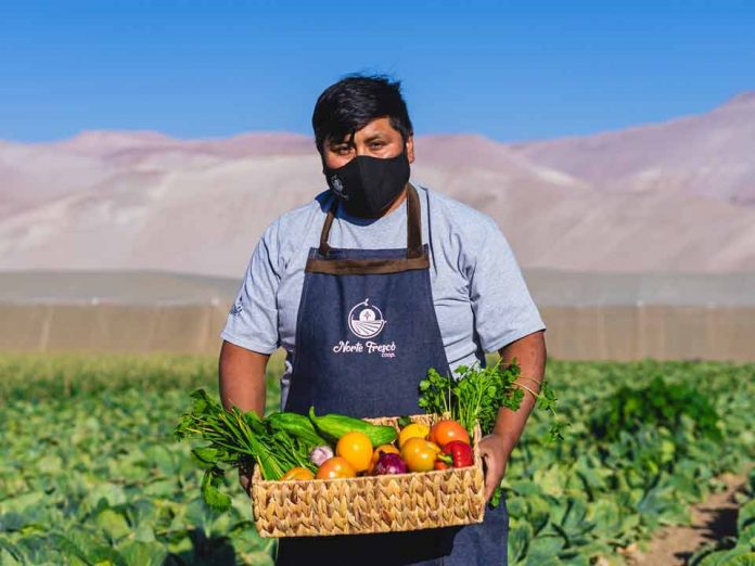 Cooperativa Norte Verde: Nueve jóvenes le agregan innovación a la pequeña agricultura de Arica 