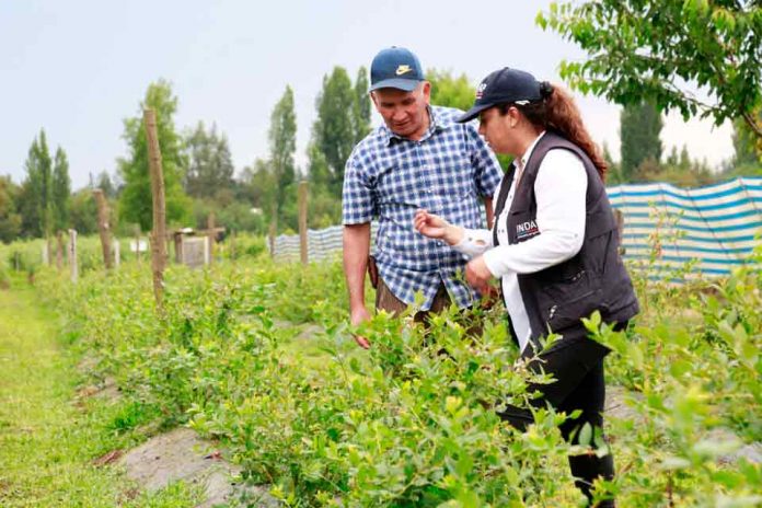 Expo chile agrícola: INDAP cierra su participación revisando los ejes estratégicos del prodesal y la politíca nacional de desarrollo rural