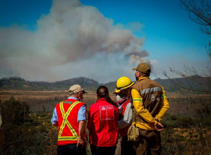 Gobierno realiza balance de la temporada de incendios forestales y reporta un 65% menos de superficie afectada El Presidente de la República encabezó de manera telemática, una reunión de trabajo con autoridades de los ministerios de Agricultura e Interior, la CONAF y ONEMI para analizar los resultados de esta temporada y revisar el Programa de Protección contra Incendios Forestales 2021-2022. Santiago, 6 de agosto de 2021.- El Presidente de la República, Sebastián Piñera, encabezó este viernes, de manera telemática, una reunión de trabajo con autoridades de los ministerios de Agricultura e Interior, la CONAF y ONEMI para revisar el Programa de Protección contra Incendios Forestales 2021-2022. “Respecto al balance de la temporada anterior podemos decir que se vieron afectadas 35 mil hectáreas, lo que significa un 65% menos de hectáreas afectadas en comparación con la temporada anterior. Esto requirió un trabajo coordinado, se explica por múltiples motivos, pero nos anima a continuar en la senda, en la estrategia que no solamente combate, sino que tiene un plan de prevención importante”, señaló la Ministra de Agricultura, María Emilia Undurraga tras la cita. Además, la titular del agro resaltó que en la reunión ya se comenzó a definir la hoja de ruta frente a la próxima temporada de incendios. “Estamos en una condición climática compleja, con temperaturas altas, bajas precipitaciones que nos proyectan una temporada compleja, es por eso, que no solamente hicimos un balance de la temporada anterior, sino también la proyección de la siguiente”, sostuvo la ministra Undurraga. “Estamos proyectando la temporada que viene y por eso, ya hemos aprobado recursos para poder planificar tanto los recursos aéreos como terrestres, como el plan de comunicaciones y prevención, para que todos juntos podamos prevenir los incendios. Esto no es solamente una política pública de un servicio en particular, sino que requiere de la acción de cada una de las personas que se sienten responsable, no solamente de prevenir sino también de hacer los llamados cuando corresponde”, añadió la secretaria de Estado. El director ejecutivo de CONAF, Rodrigo Munita señaló la relevancia que tiene el observar lo que está ocurriendo en el verano del hemisferio norte. “Respecto de la temporada que se nos viene lo primero es que debemos mirar hacia el norte, lo hemos hecho en años anteriores cuando las condiciones climáticas producto del cambio climático son absolutamente adversas, altas temperaturas, material seco, olas de calor, en fin. Las imágenes que nos están mostrando son de verdad tremendamente alarmantes y eso significa que nosotros como país debemos hacernos cargo de lo que eso nos va a implicar”, afirmó. Por su parte, el director de la ONEMI, Ricardo Toro relevó el trabajo coordinado y los protocolos ya que “la relación que existe entre Conaf y la Onemi es muy estrecha, tenemos protocolos muy exhaustivos de todo lo que tenemos que hacer para coordinar una acción que sea efectiva. Y quiero destacar que ya estamos trabajando desde hace varios años, lo que ha permitido un afiatamiento del equipo y levantar todas las lecciones aprendidas con buenas prácticas, que nos permitan sacar buenas conclusiones y claramente, cuando vemos la forma en que estamos preparando esta temporada, estas ya se han incrementado y vemos un nivel bastante adecuado una temporada compleja viendo lo que está sucediendo en Europa y en Estados Unidos recientemente”. En esta línea, la gerenta de protección contra incendios forestales de CONAF, Aida Baldini destacó la rápida aprobación de los recursos para el combate de incendios la próxima temporada. “Hemos tenido esta reunión donde se han aprobado los recursos, lo que nos permite una preparación muy a tiempo porque nosotros hoy sabemos que en Europa y en Estados Unidos, en Canadá, Siberia y en muchas partes hay incendios lo que nos hace competir con los recursos que son los mismos que van cambiando de temporada. Por eso, podemos decir que podremos contar con 62 aeronaves y 268 brigadas terrestres”, señaló. La ministra Undurraga también destacó el trabajo coordinado que ha permitido combatir bien los incendios en un momento en que el “cambio climático nos ha situado en esta temporada en condiciones muy complejas y es por eso que todos tenemos que sentirnos responsables de este desafío, así que vamos a seguir trabajando con todos los integrantes de la mesa nacional de incendios, con el sector privado, con el MOP, con el ministerio de Medioambiente, con los municipios porque aquí todo suma”. El lanzamiento del Programa de Protección contra Incendios Forestales 2021-2022 se realizará dentro de las próximas semanas, ante lo cual Rodrigo Munita dijo que “estamos trabajando en planificación y organización de los recursos tanto aéreos como de brigadas y también ver cómo nos organizamos como país con el sector privado y la participación de otras entidades públicas y privadas que tiene que participar y finalmente la responsabilidad personal de cada ciudadano respecto de lo que se nos viene. Esto puede tener consecuencias muy graves en nuestro medio ambiente, por eso apelamos a la responsabilidad individual para que nos ayuden a proteger nuestros recursos naturales esta temporada”.