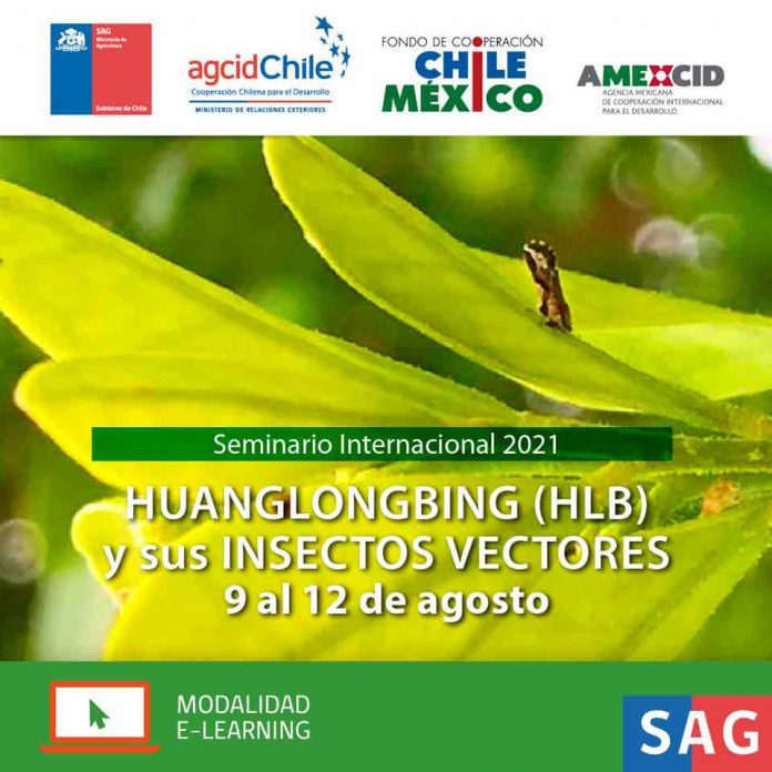 Inscríbete en el seminario internacional sobre HLB y sus insectos vectores