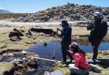 Red SIPAN Macrozona Altoandino y Precordillera Norte: Trabajando para rescatar las prácticas ancestrales de pastoreo y ganadería 