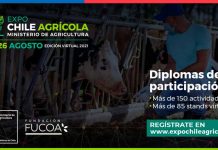 Sustentabilidad y ganadería regenerativa serán algunas de las temáticas que INIA presentará en Expo Chile  2021