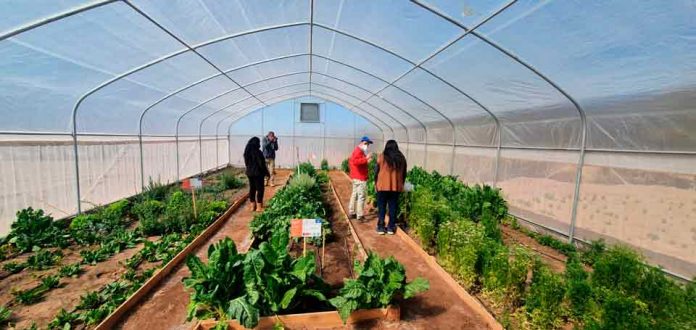 CNR entregó bonificaciones de riego para potenciar la pequeña agricultura de Coyo  