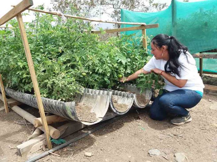 Positivo balance de Expo Chile Agrícola 2021: Mujeres duplican a los hombres en interés por capacitarse