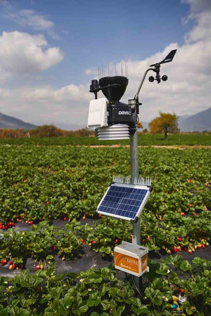 114 pequeños agricultores de Melipilla acceden a tecnología de punta gracias a alianza público-privada