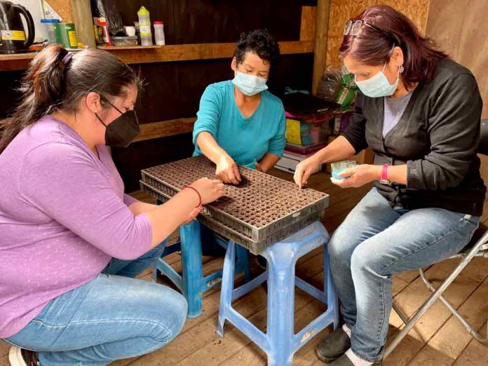 Agricultores del Prodesal Indap Los Ángeles reciben 48.000 plantas de hortalizas y frutales para aumentar su producción