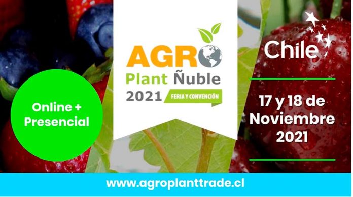 Agro Plant Ñuble 2021: encuentro anual del agro organizado por los viveristas de Chile también hablará de la situación actual en la producción de arándanos