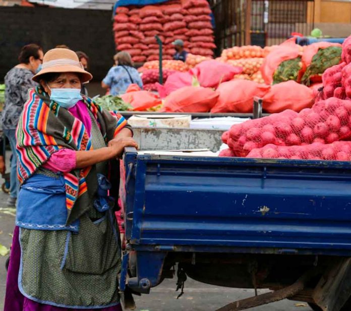  Ministerios del trabajo y agricultura llaman a postular a vacantes de trabajo en el sector agrícola 