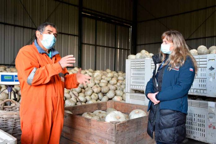 Productores top de INDAP ingresan a programa que mejorará su desempeño comercial