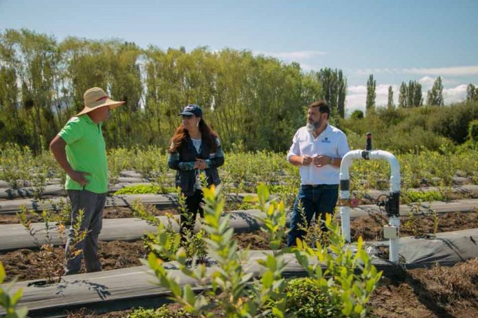 Con el foco puesto en la escasez hídrica y el cambio climático INDAP celebra 59 años de vida