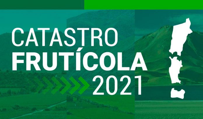 Ministra Undurraga por Catastro Frutícola 2021: “Contar con datos e información actualizada y oportuna es de vital relevancia para tomar las mejores decisiones”