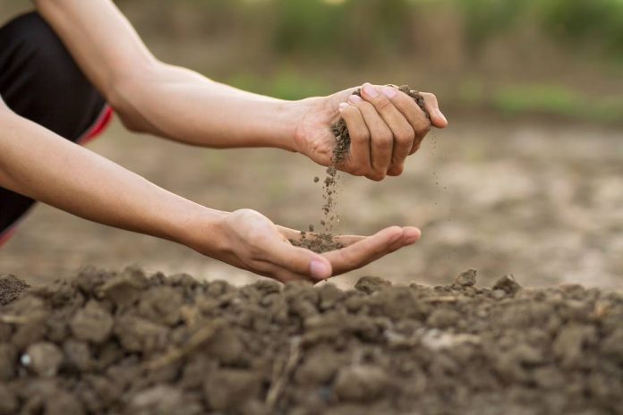 Académico de Agronomía destaca importancia de los suelos con la seguridad alimentaria