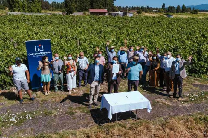 Región de Ñuble: Productores de uva y vino de la Zona de Rezago reciben apoyo del Gobierno Regional para producción limpia