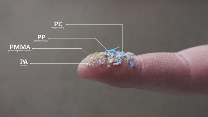 Impacto de los micro y nanoplásticos en los agroecosistemas es investigado por experto de Agronomía UdeC