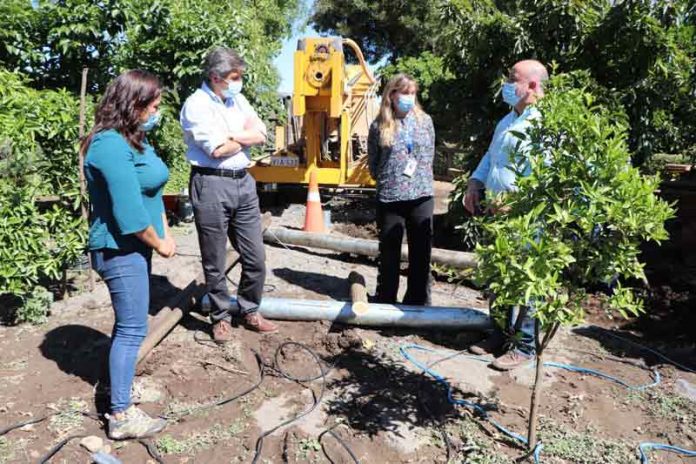 Nancy Flores, usuaria INDAP: De temporera a agricultora sustentable y exitosa