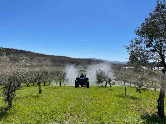 Agricultores de Los Sauces se diversifican y mejoran su producción con asesoría especializada