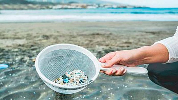 Científicos del ICBM medirán contaminación por microplásticos y toxinas en mar frente a Chiloé