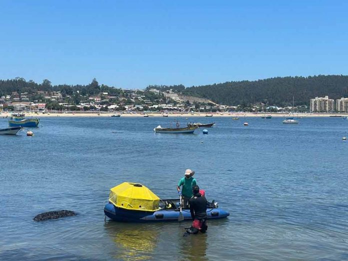 COPAS Coastal monitorea Bahía de Coliumo para estudiar la incidencia de los eventos extremos y entender procesos de alta variabilidad climática