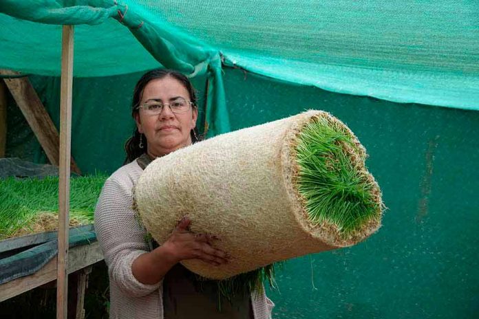 Granja La Pachamama en La Ligua: hermosa familia enfrenta la sequía con centro de agroecología y economía