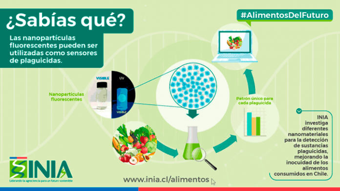 Nanopartículas fluorescentes INIA detectarían plaguicidas para asegurar inocuidad alimentaria