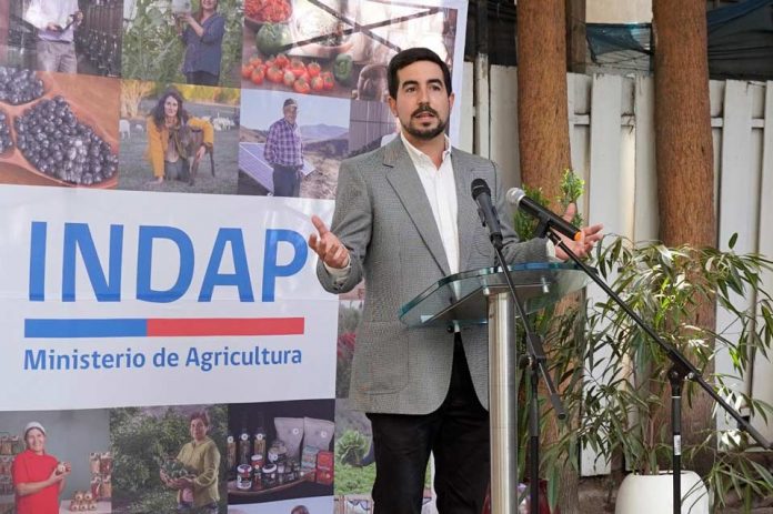 Santiago Rojas Alessandri, nuevo director nacional de INDAP