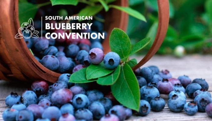 South American Blueberry Convention South American Blueberry Convention