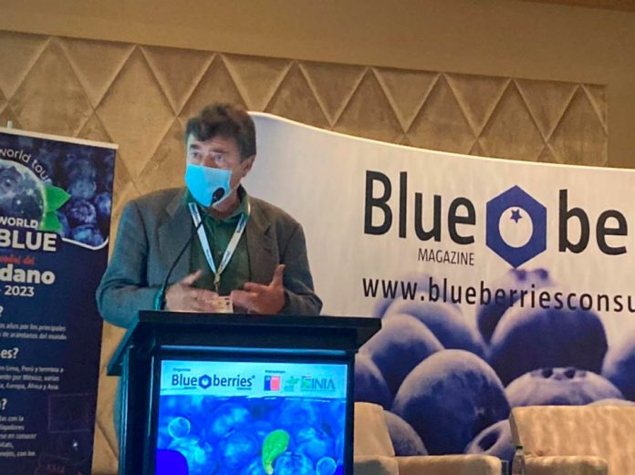 XVIII Seminario Internacional Blueberries Chile 2022