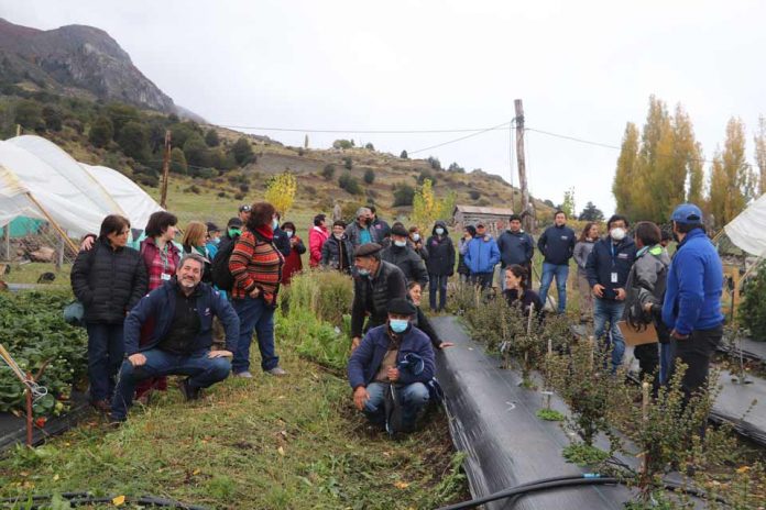 cierre oficial del Programa de Frutales de INDAP Aysén