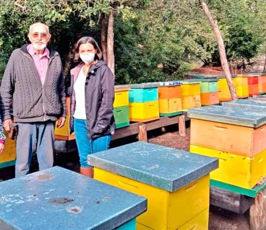 Con charlas y trabajo en terreno continúan consulta pública apícola en Biobío consulta pública apícola en Biobío