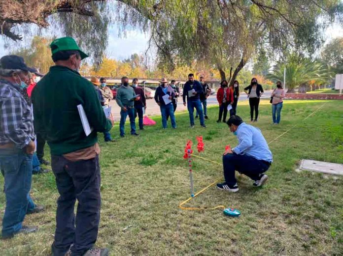 Chinche pintada en la Región Metropolitana: Comienzan cursos de manejo de plaguicidas para pequeños agricultores 