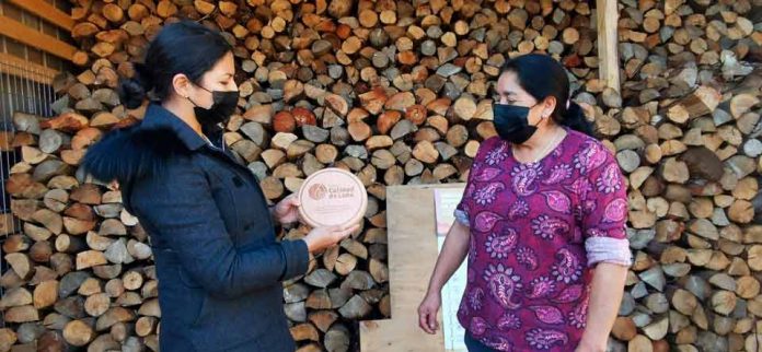 Comerciantes y productores de la provincia del Biobío reciben Sello Calidad de Leña