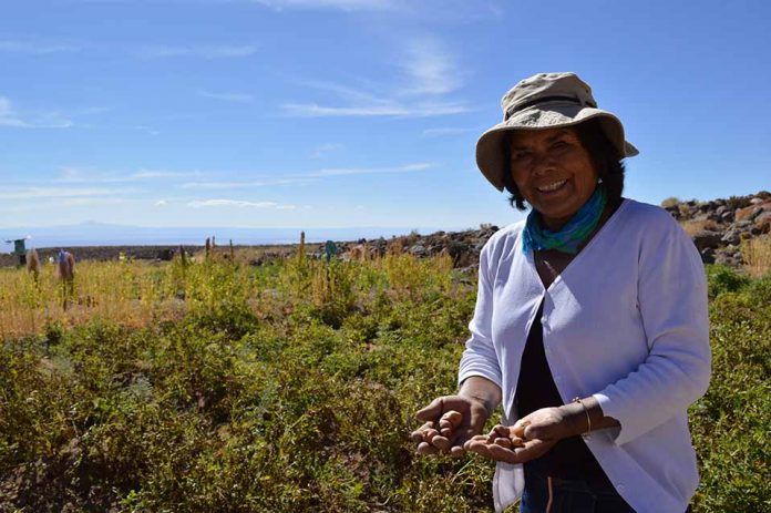 Pequeña agricultora pueblos originarios CNR