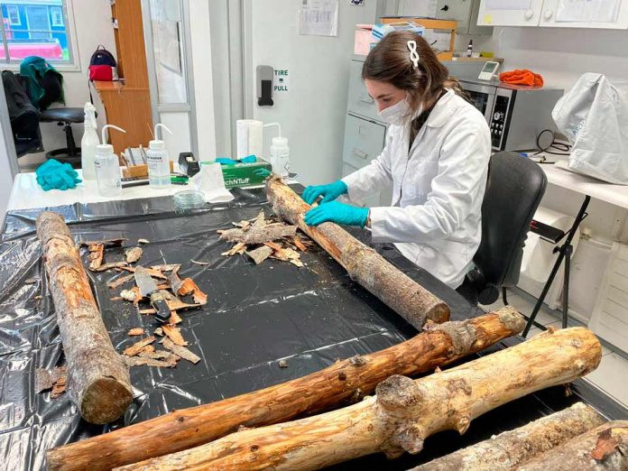 Unidad de Entomología del Laboratorio SAG ubicado en Osorno