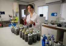 material que se forma a partir de residuos orgánicos