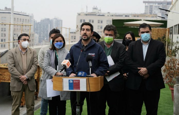 Ministerio de Agricultura declara emergencia agrícola por plaga de nematodo que afecta a la producción de frutillas