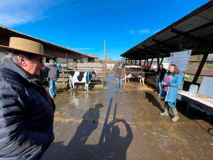 Temas que interesan a productores de leche empresariales: cambio climático, gases invernadero y robots de ordeña