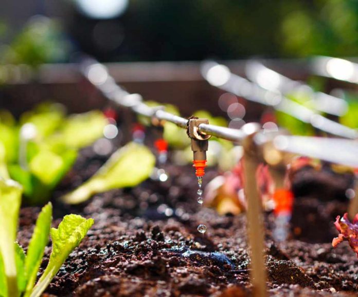 Ministerio de Agricultura ingresa indicación sustitutiva a proyecto de modificación de Ley de Riego