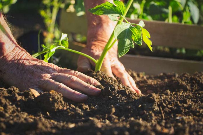 Modelos de producción sustentables