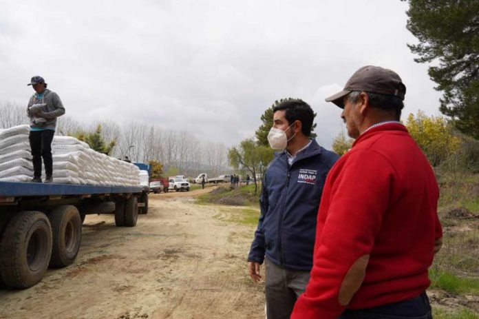 entrega de Fertilizantes chile